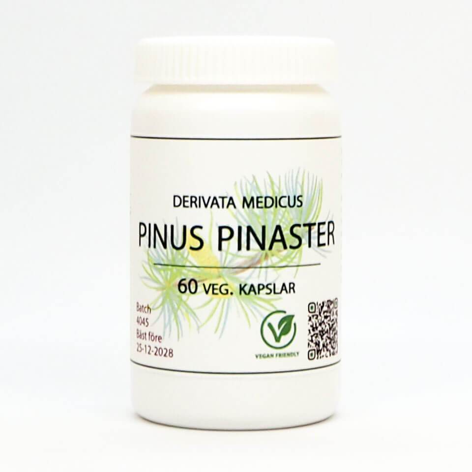 Pinus Pinaster 60 kap