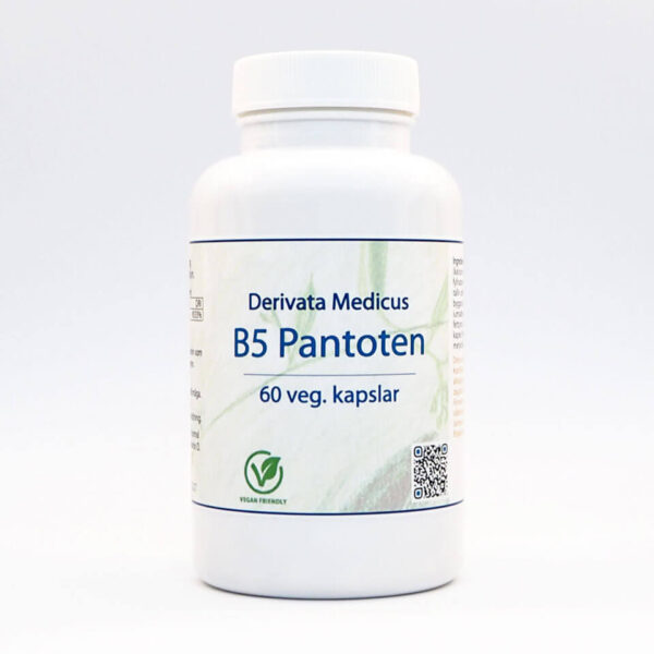 B5 Pantoten 60 kap