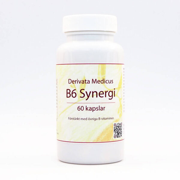 B6 Synergi 60 kap