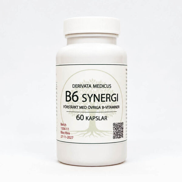 B6 Synergi 60 kap