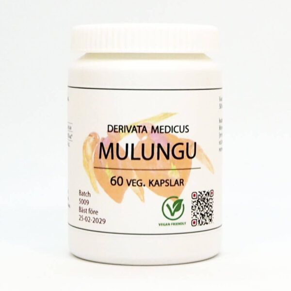Mulungu 60 kap