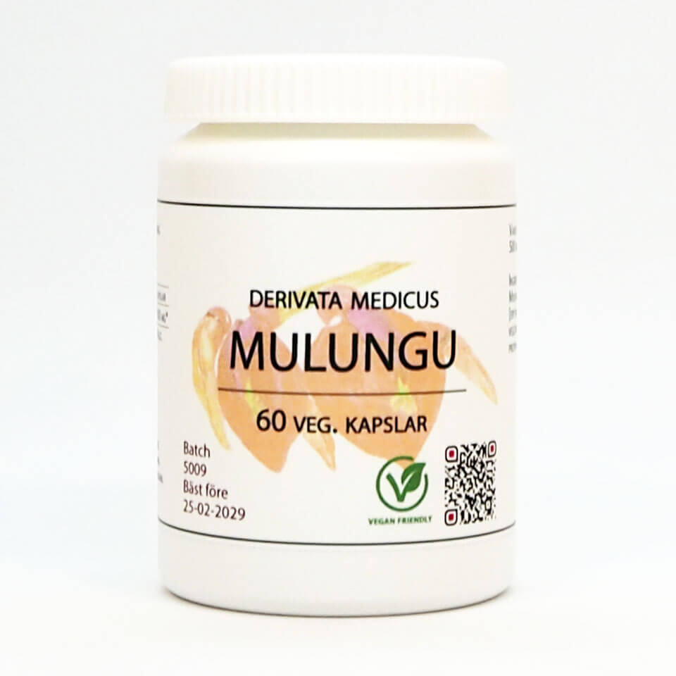 Mulungu 60 kap